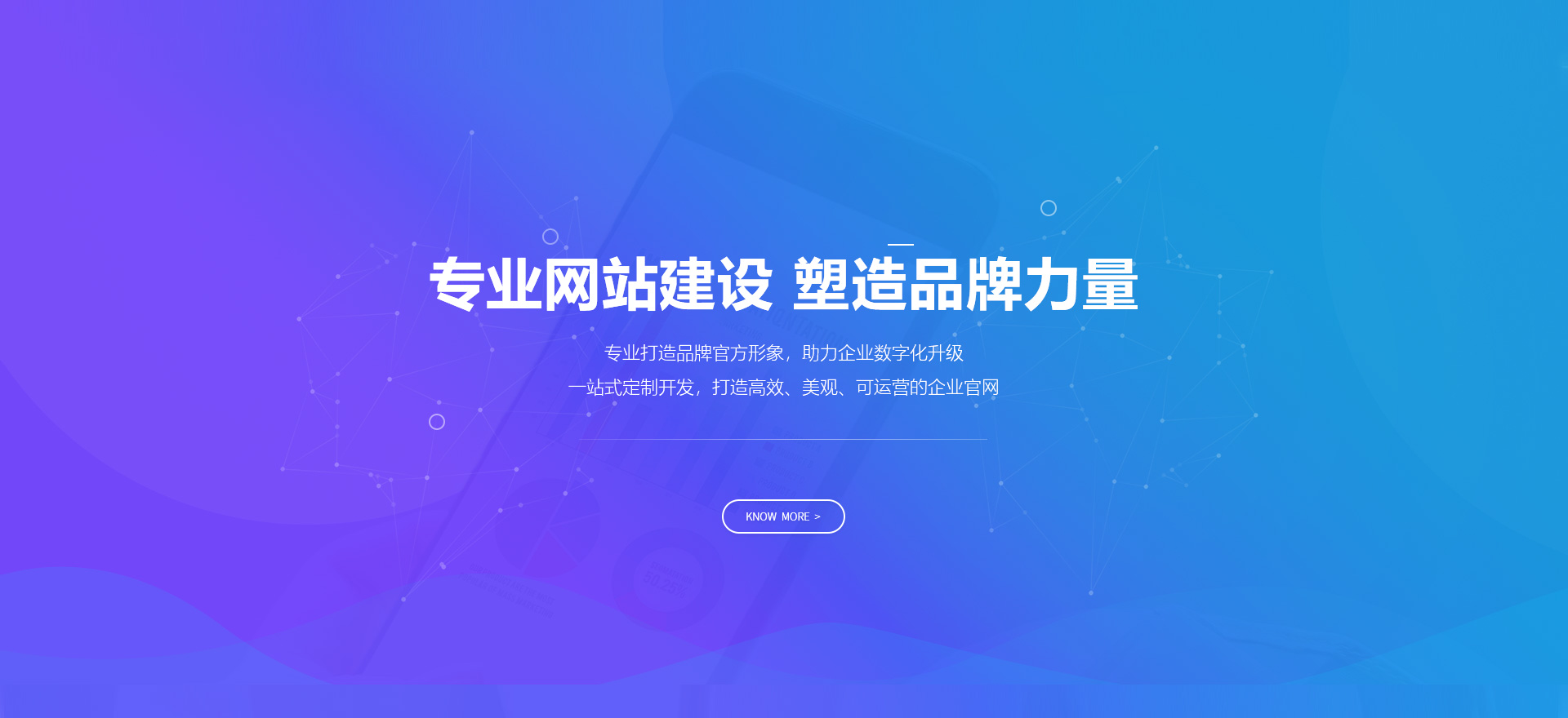 梧州建站-专业网站建设 塑造品牌力量