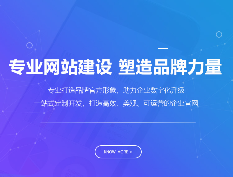 梧州建站-专业网站建设 塑造品牌力量